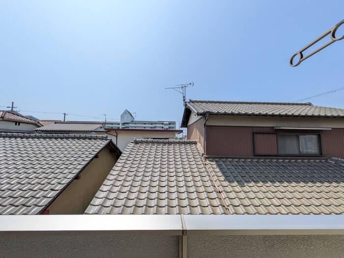 プロミネンスの展望