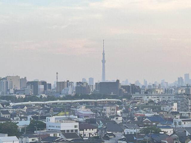 グリーンパーク金町の展望