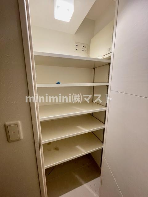 プレミスト堺筋本町ラディーナの収納