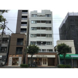 グリーンシャンクの画像