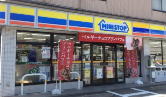 ＤＥＬＩＣＩＯＵＳ　ＬＩＦＥ　ＡＰＡＲＴＭＥＮＴＳのその他|ミニストップ湘南台3丁目店