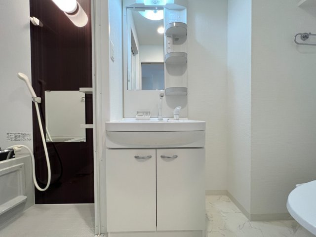 Park Lane Minamiの独立洗面台