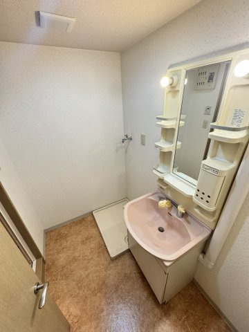 カーサフィオーレ弐番館の洗面所