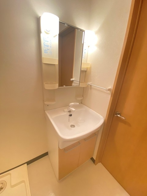 プラッサムコーポⅠの洗面所