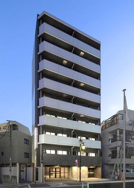 ラフィスタシンコイワ