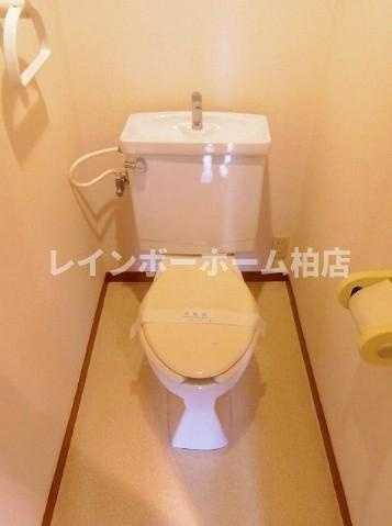 特典：仲介手数料が無料です!!のトイレ|清潔感のあるトイレです