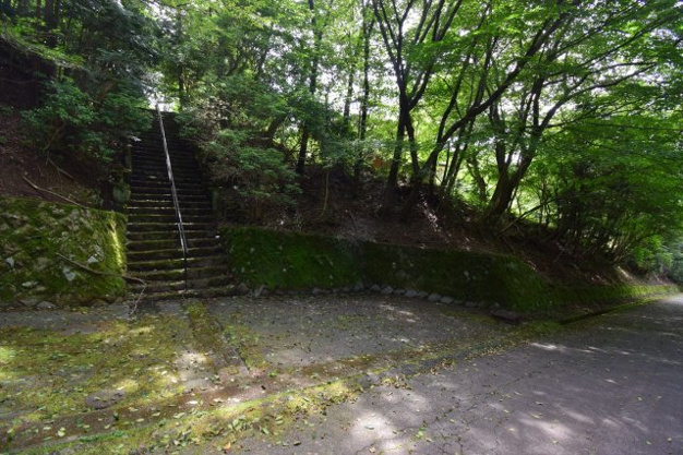 【前面道路含む現地写真】 | 天城高原別荘地　戸建