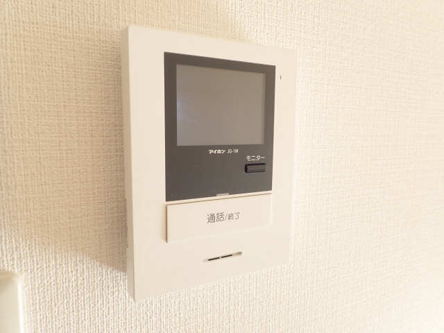 エルスタンザ原のセキュリティ