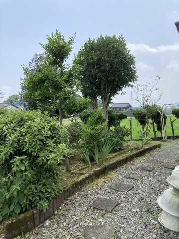 中古戸建　不破郡垂井町府中　昭和55年築の庭