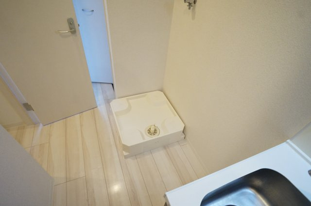 アイリスのその他