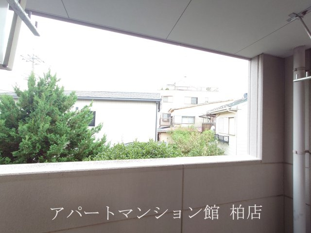 ピアリープレイスの展望
