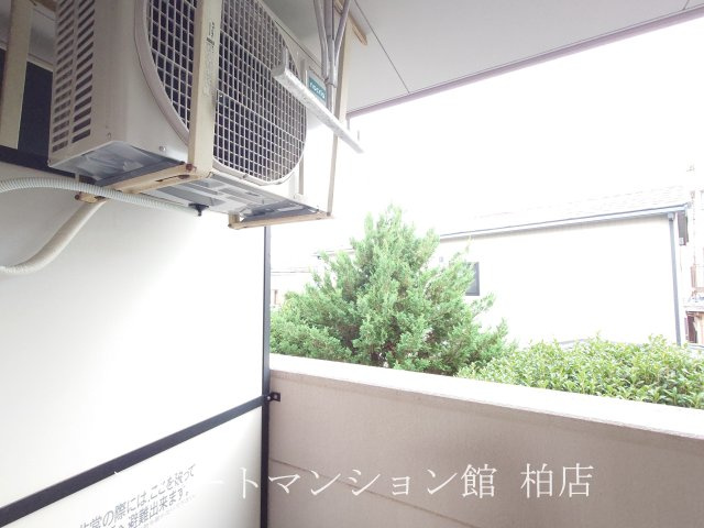 ピアリープレイスの展望