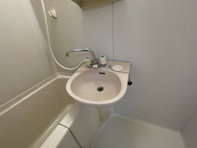 メゾンSANOの洗面所