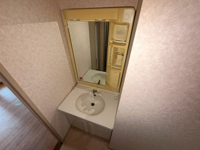 ハイツエムティの洗面所