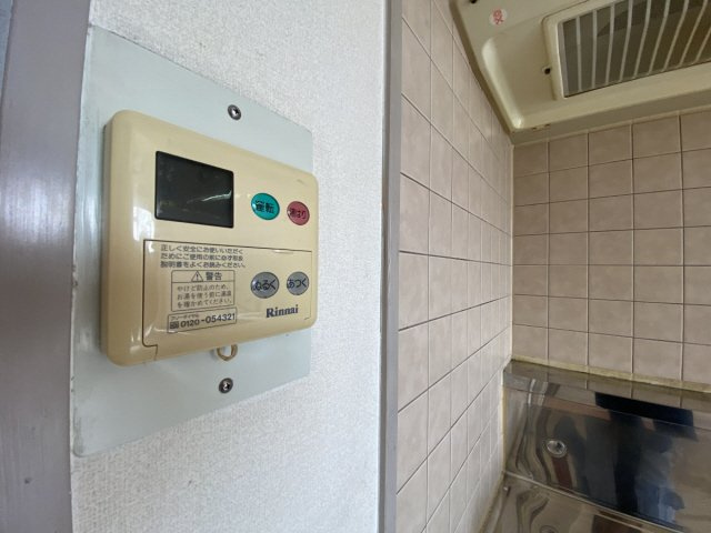 パレオーギのその他