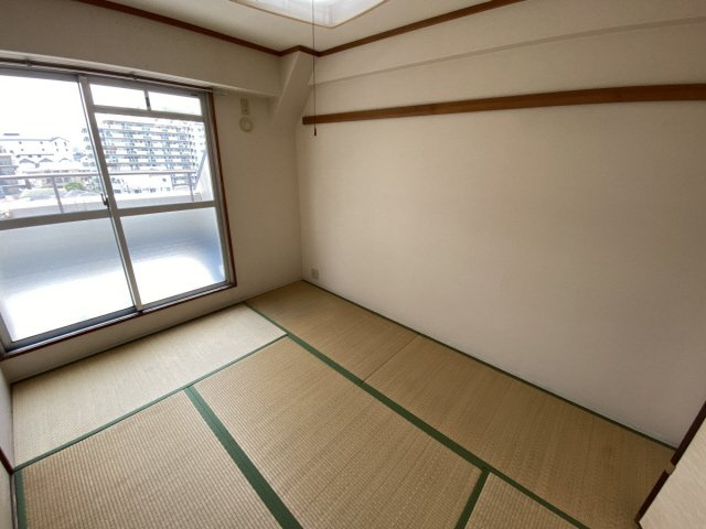 パレオーギのその他