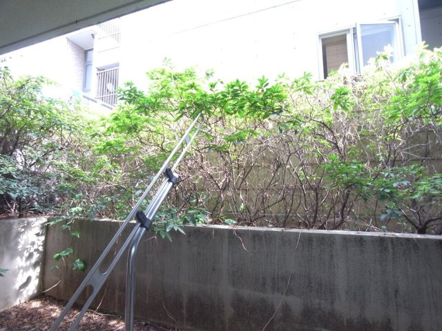 菱和パレス渋谷本町の展望