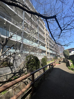  | せせらぎ緑道に隣接しています…
