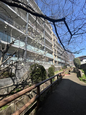  | せせらぎ緑道に隣接しています…