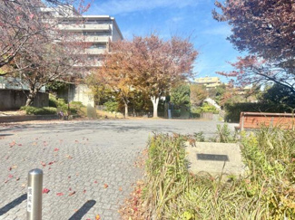  | 馬場七丁目公園まで250m