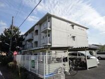 サンアムールの画像