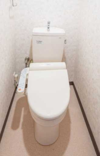 ライオンズマンション京町のトイレ