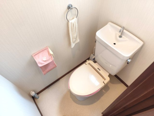 狭山市入間川中古戸建のトイレ
