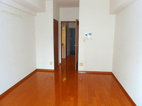 ディナスティ神戸元町通の居間・リビング