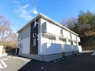 Ｓｏｌｅｉｌ　ｈｉｎａの画像