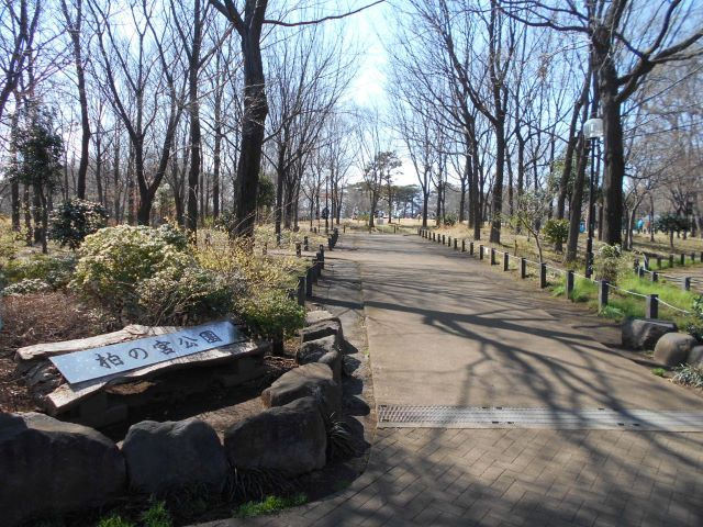 杉並区立 柏の宮公園まで500ｍ