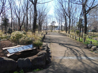 杉並区立 柏の宮公園まで500ｍ