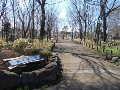 杉並区立 柏の宮公園まで500ｍ