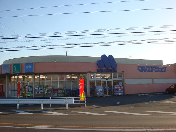 パラモアの周辺|マルエドラッグ倉賀野店まで999ｍ