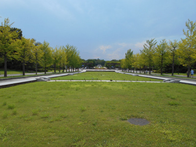 国営昭和記念公園まで1100ｍ
