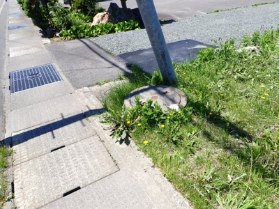 【その他】 | 黒石市追子野木二丁　土地　南向き　県道沿い | 下水道