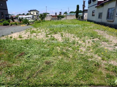 【外観】 | 黒石市追子野木二丁　土地　南向き　県道沿い