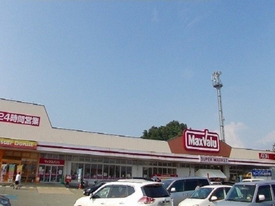 【周辺】 | フォルシュ | マックスバリュ　広面店まで1600m