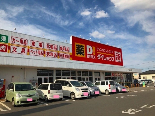 熊本市北区植木町一木のアパートの周辺|ダイレックスまで1300m