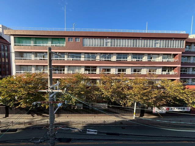相川フラワーコートの展望