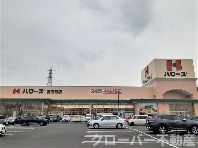 ウェルリッチ善通寺　Ⅰの周辺|ハローズ善通寺店まで650m