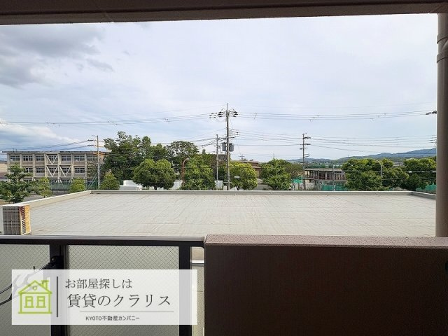 北陽