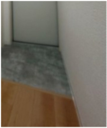 ティアラ豊川の玄関