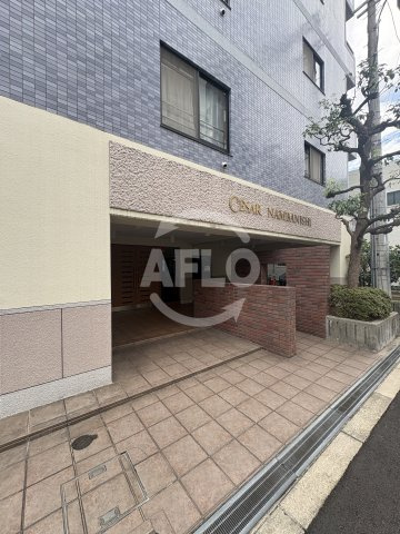 セザール難波西のエントランス|セザール難波西　エントランス