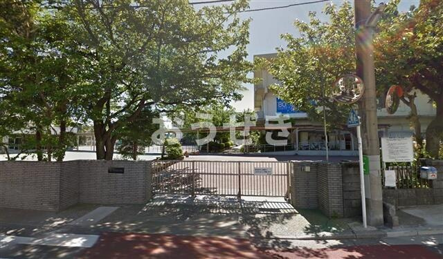 ます美ハイツの周辺|横浜市立白幡小学校まで224m