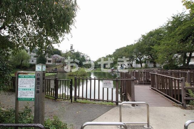 ます美ハイツのその他|白幡池公園まで204m
