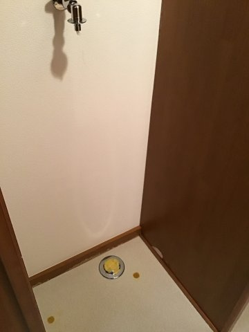 あるゾウパレス本町の内装|洗濯機置場