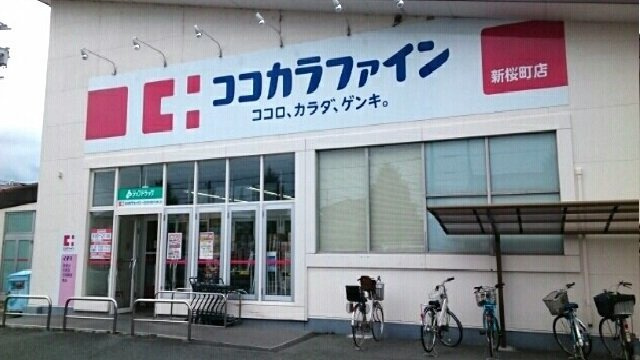 エルディム西塚Ａの周辺|ココカラファイン様まで250m