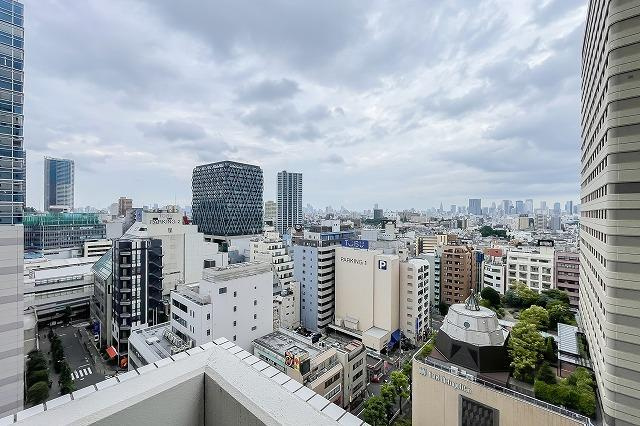 アーバンフラッツ池袋プレミアムの展望
