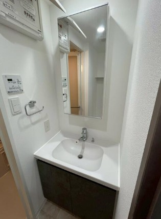 クレストコート中板橋の洗面所