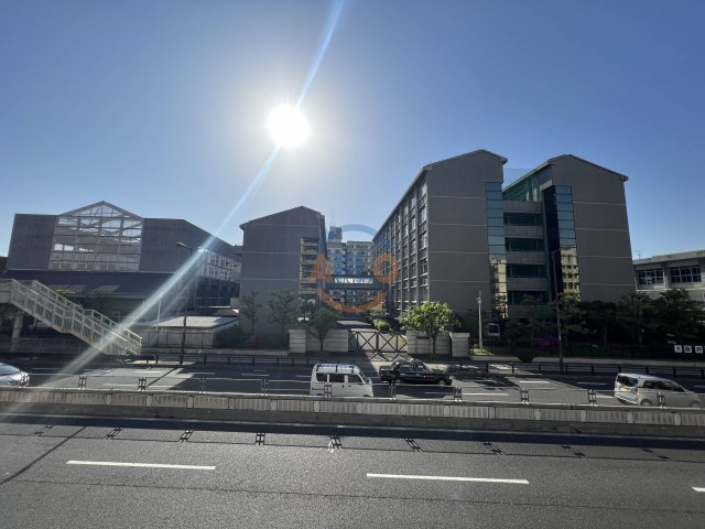 フローラーなかじま　新今宮小学校区の展望|フローラ―なかじま　眺望
